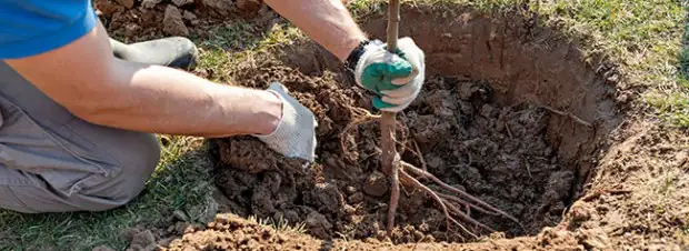 Simple mythe ou vrai conseil ?