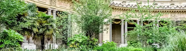 Le jardin du Petit Palais, les charmes d&rsquo;une oasis en ville.