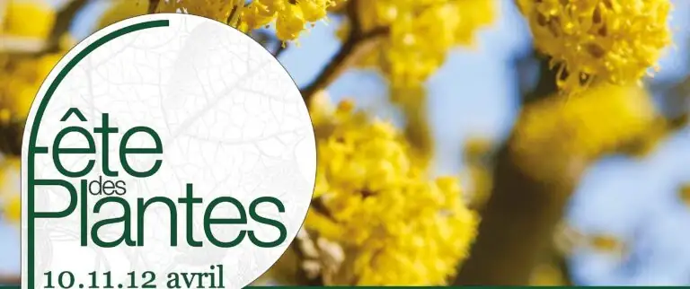 Beauté & Gourmandise à Saint-Jean de Beauregard