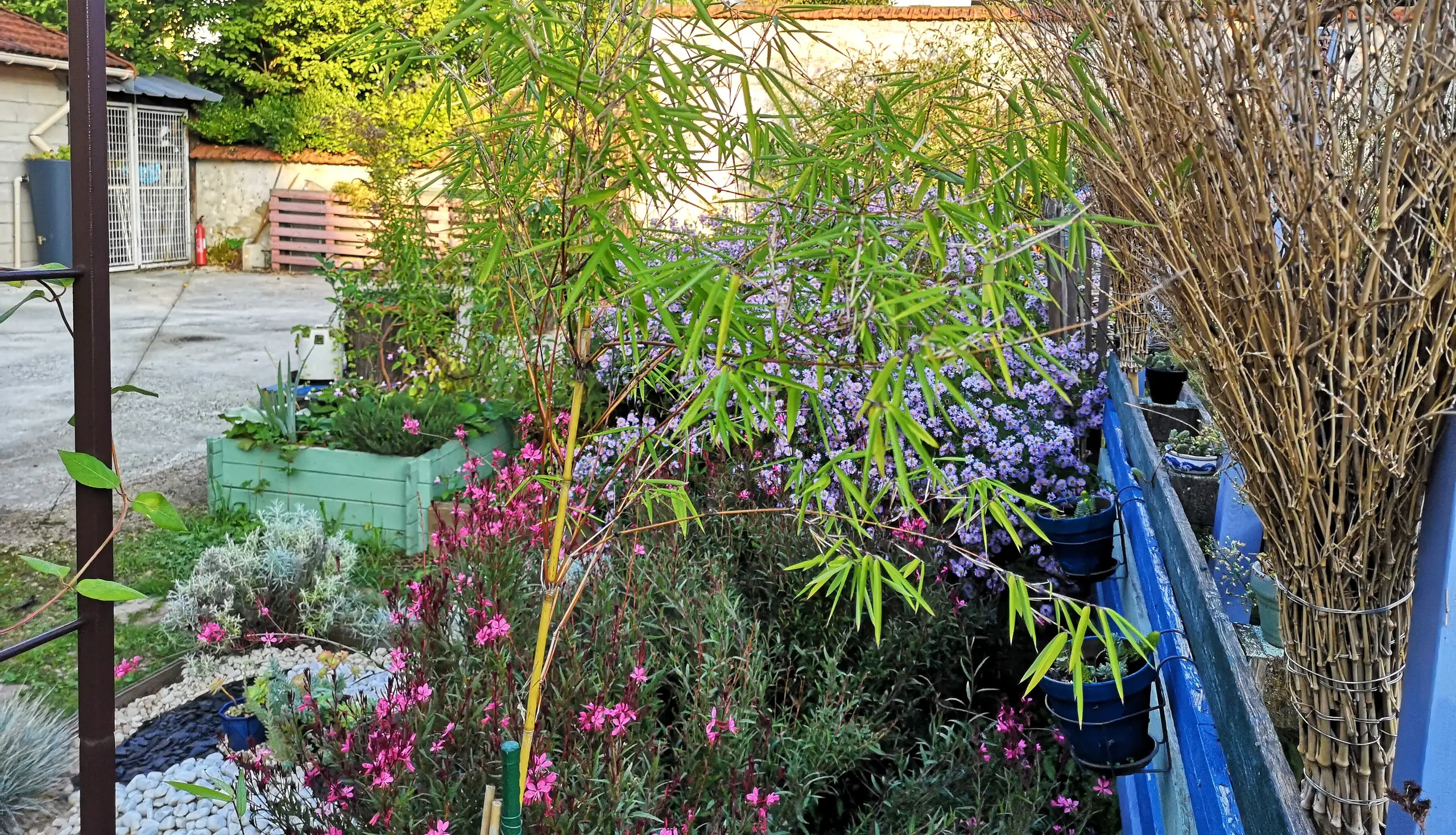 Atelier jardinage au     jardin de Léontine