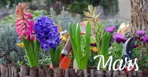 Principaux travaux à réaliser au jardin en mars