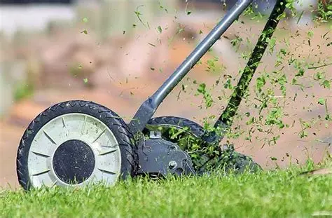 La première tonte conditionne toute la saison du gazon