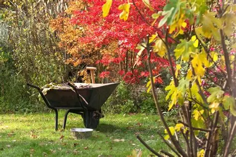 Stop au grand nettoyage d’automne
